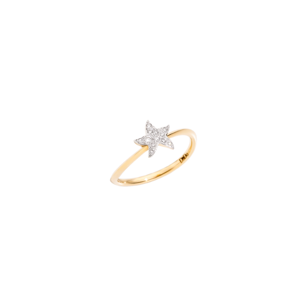 Mini Precious Star Ring