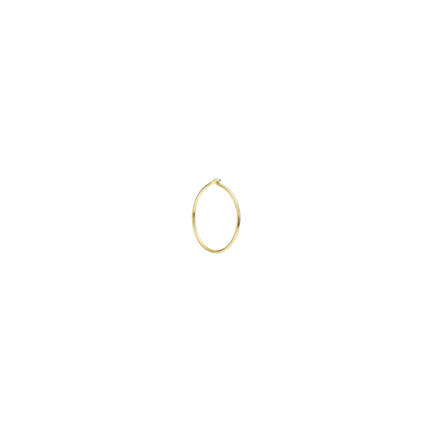 Essentials Hoop Earring