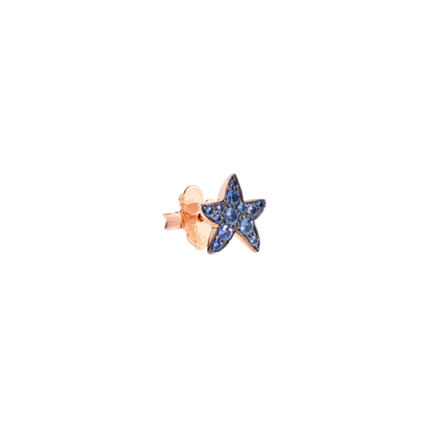 Precious Star Earring