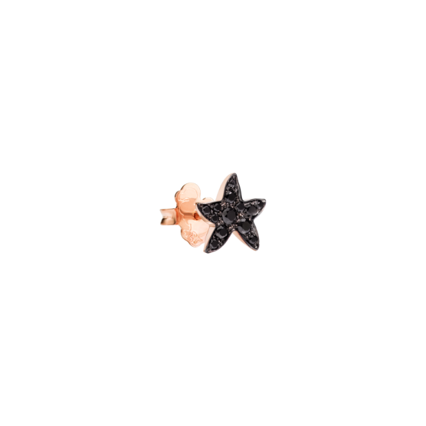 Precious Star Earring