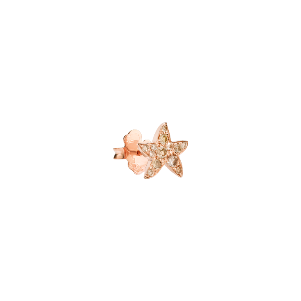 Precious Star Earring