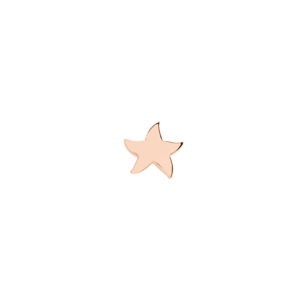 Star Earring