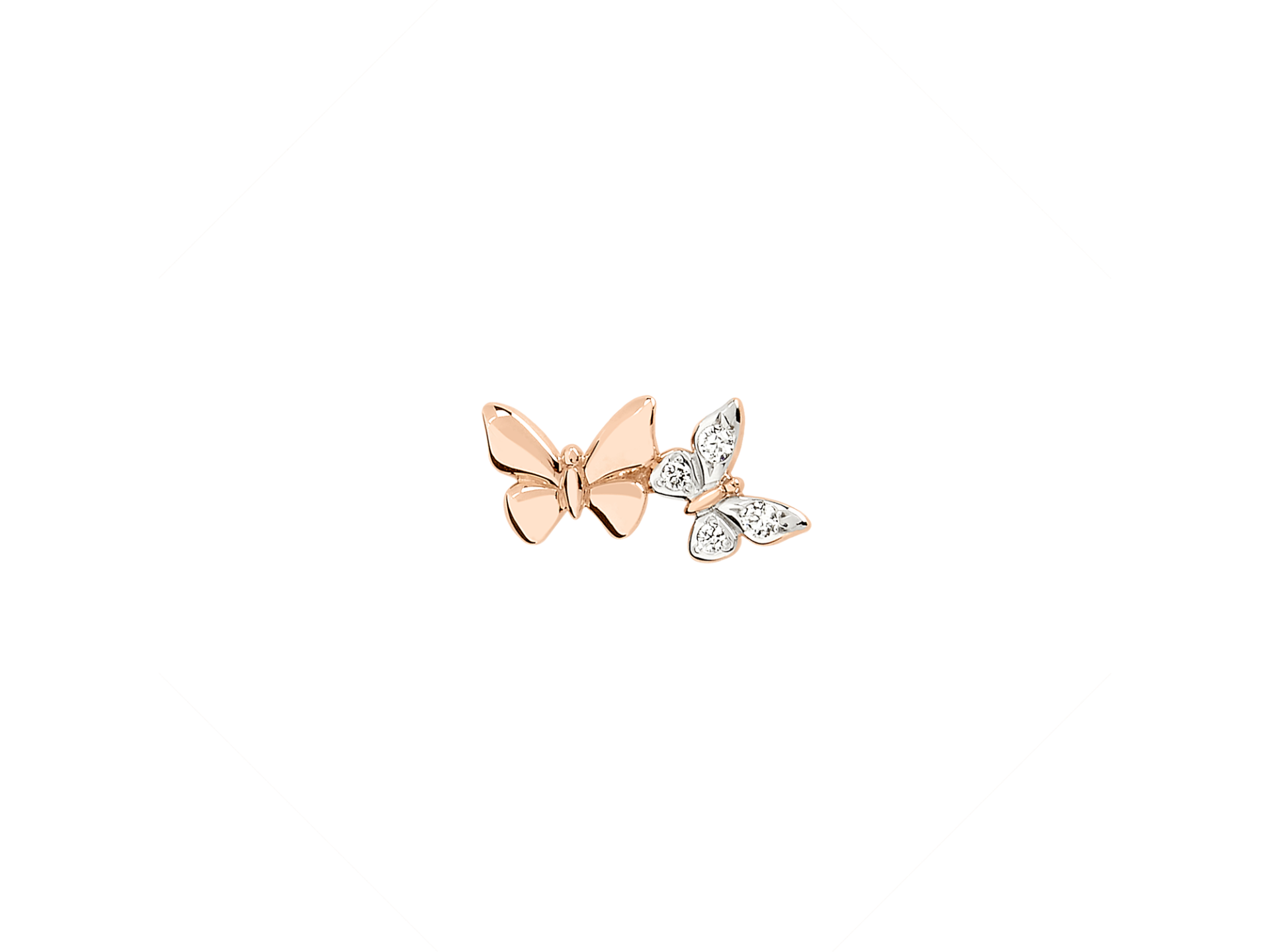 Dodo farfalla shop