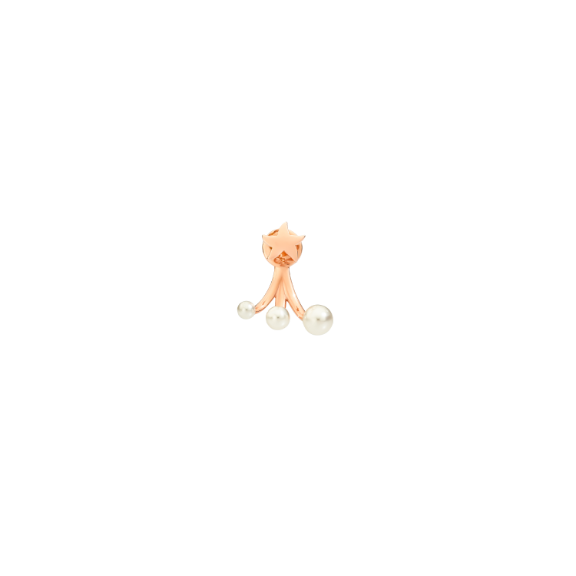 Rose Gold & Crystal Bead Star Earring