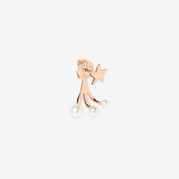 Rose Gold & Crystal Bead Star Earring
