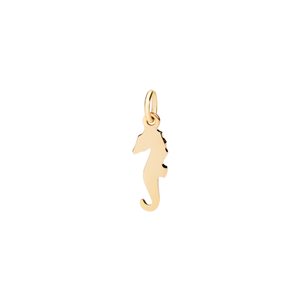Seahorse Charm