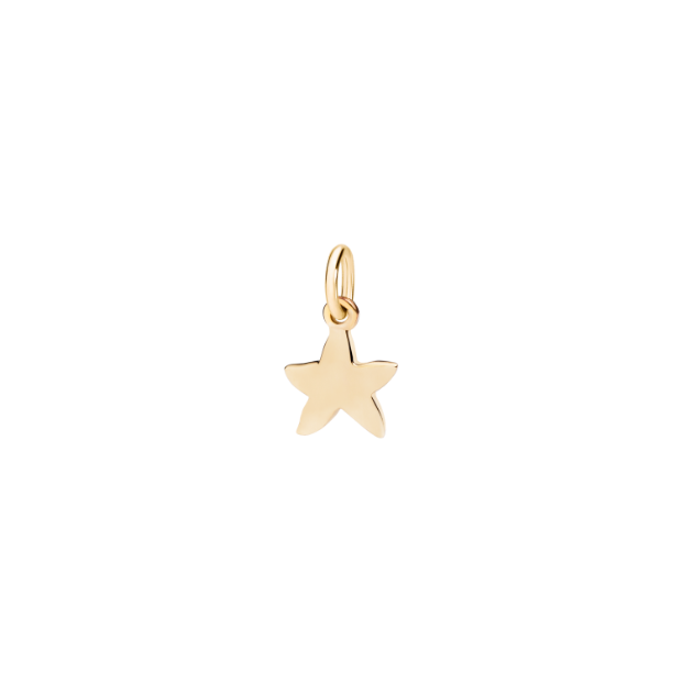Star Charm