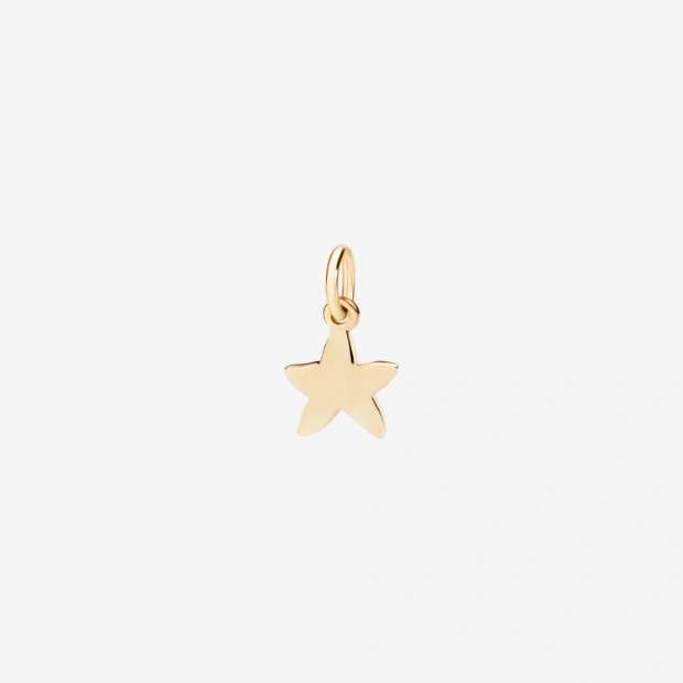 Yellow Gold Star Charm