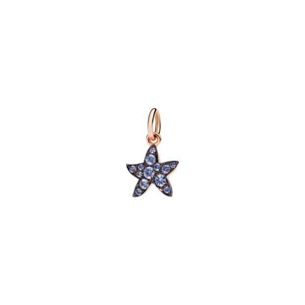Precious Star Charm