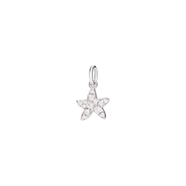 Precious Star Charm