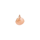 Ciondolo Conchiglia - Oro Rosa 9k