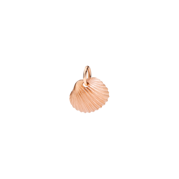Shell Charm