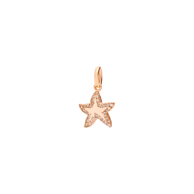 Precious Star Charm