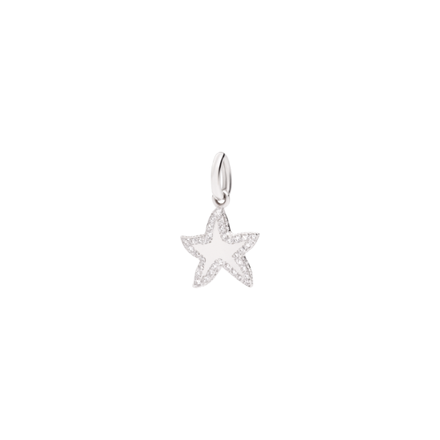 Precious Star Charm