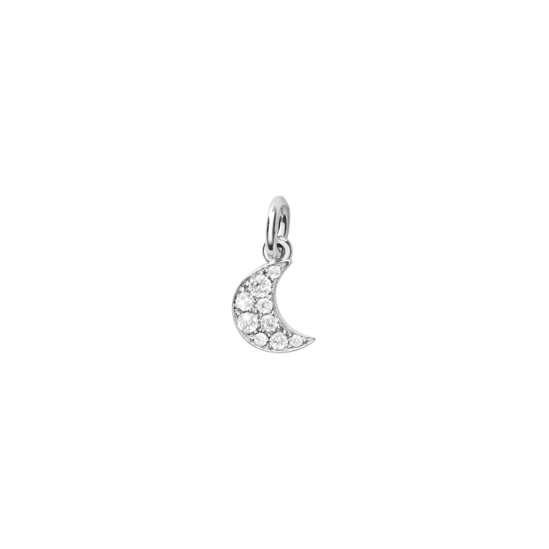 Precious Moon Charm
