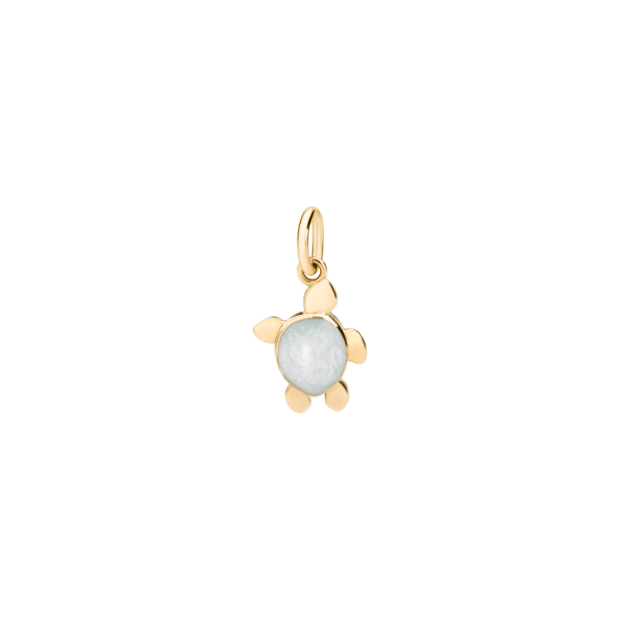 Turtle Charm