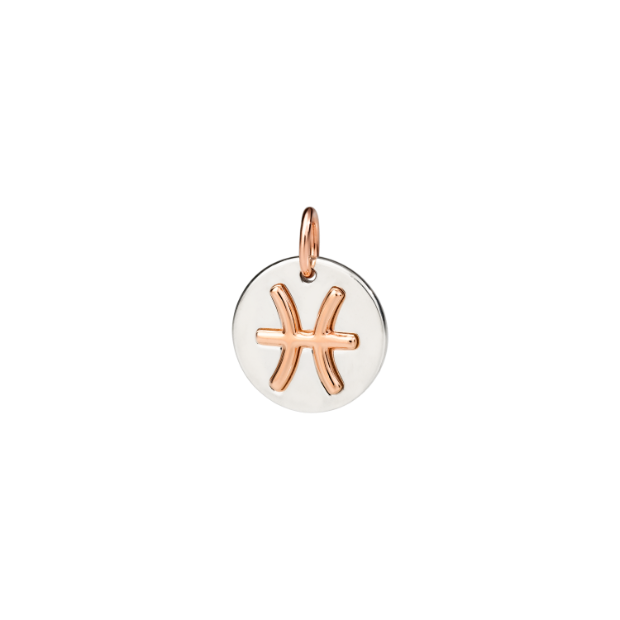 Pisces Zodiac Charm