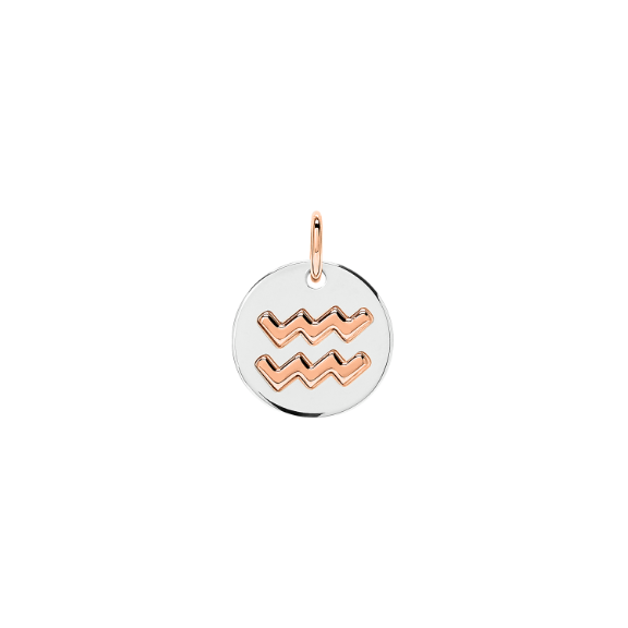 Silver & Rose Gold Aquarius Charm