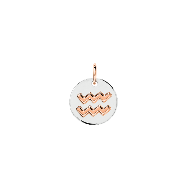 Aquarius Zodiac Charm