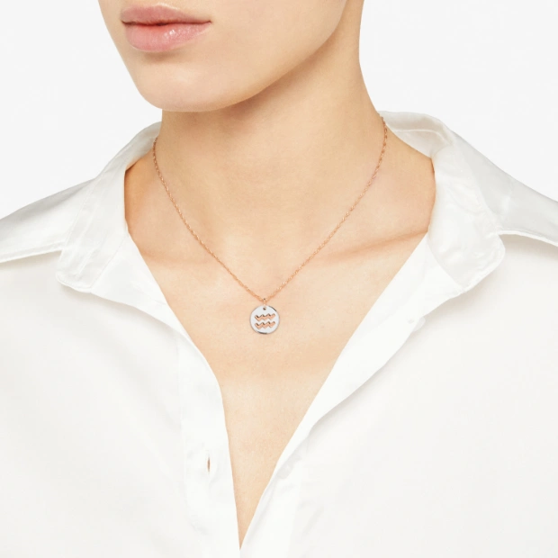 Anhänger Wassermann Silber Und Roségold