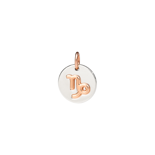 Capricorn Zodiac Charm