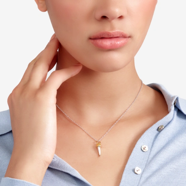 Anhänger Horn Aus Gelbgold Und Silber