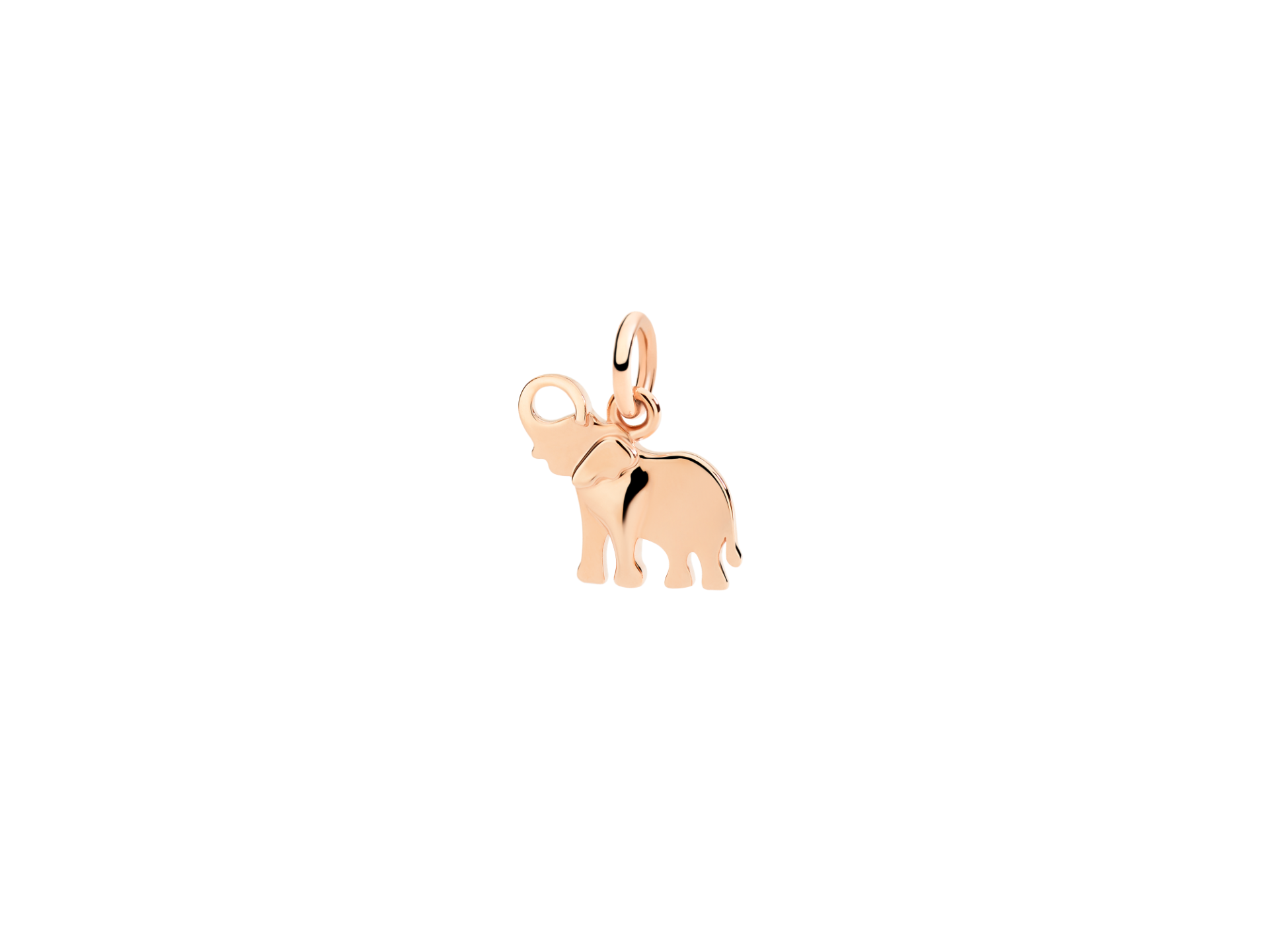 ポメラート DODO うさぎ｜Yahoo!フリマ（旧PayPayフリマ）