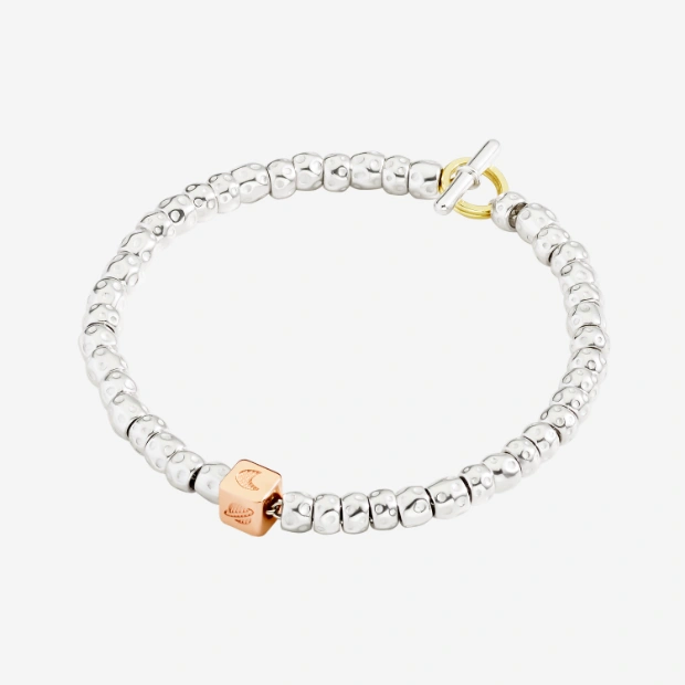 Componente Cubetto Spazio Argento Dorato
