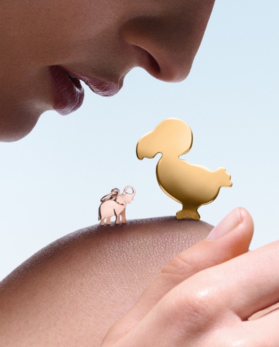 ポメラート dodo ペンギン -ファッション##レディース##アクセサリー