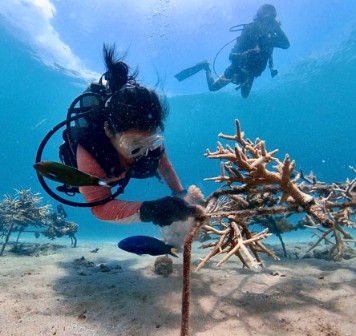 Divers Under Water